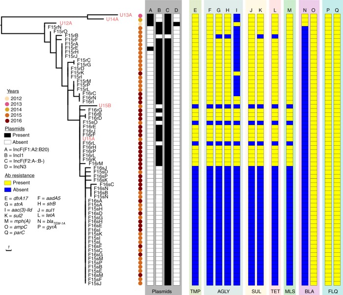 Fig. 4