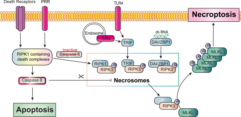 Figure 4.