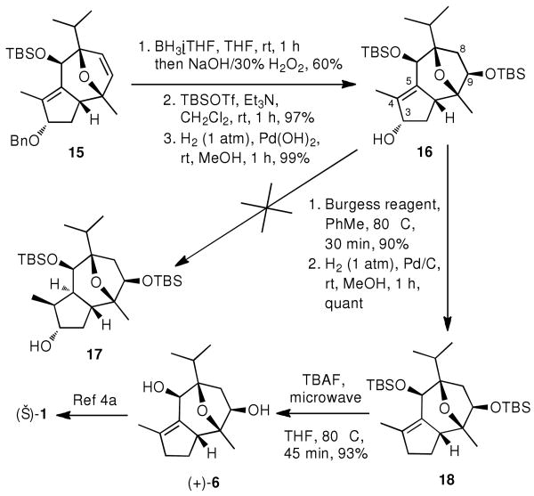 Scheme 5