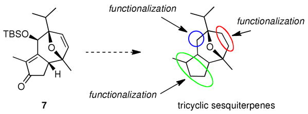 Scheme 6