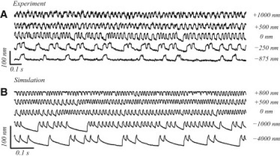 Figure 8