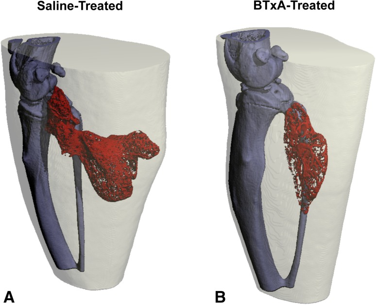 Fig. 4A–B