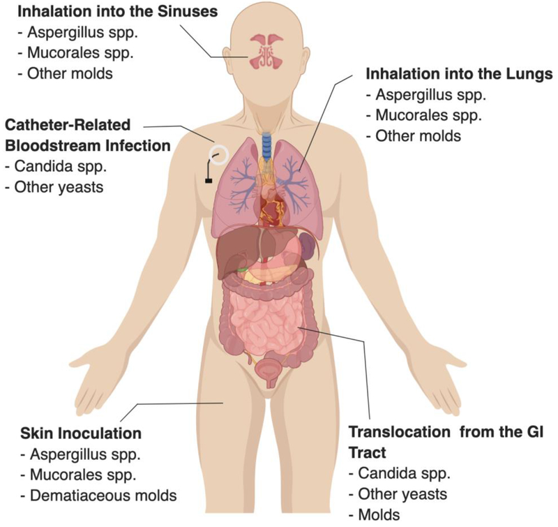 Figure 1.