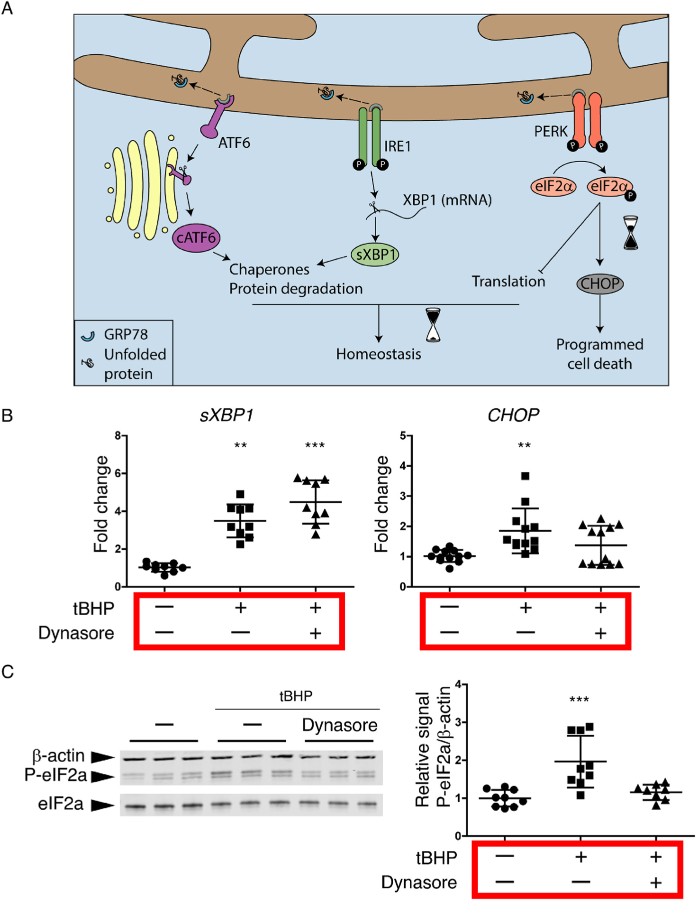 Fig. 4 NEW