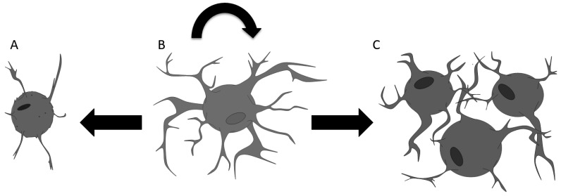 Fig. (1)