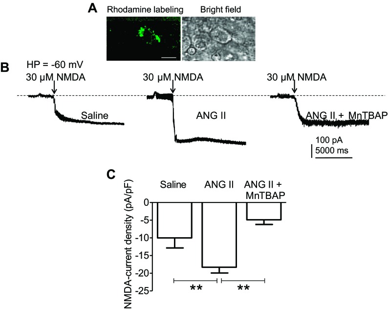 Fig. 7.