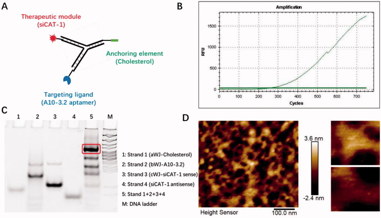 Figure 2.