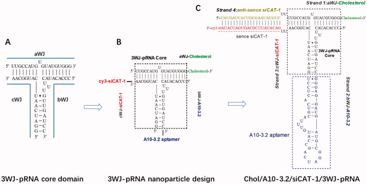 Figure 1.