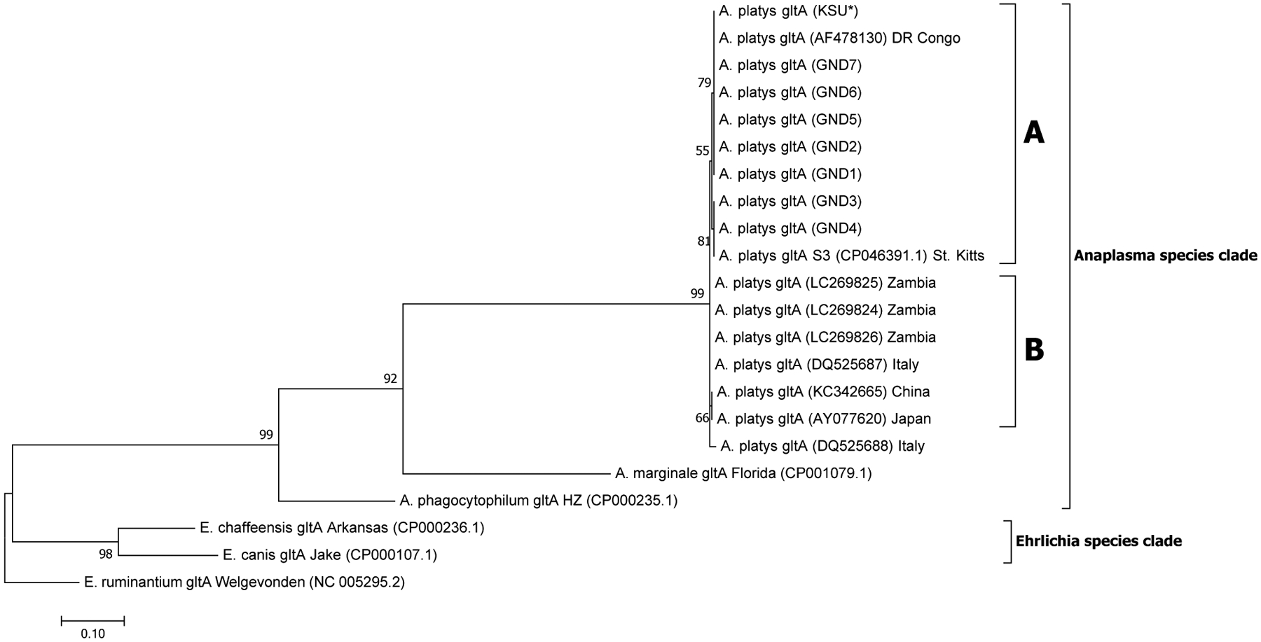 Fig. 3.