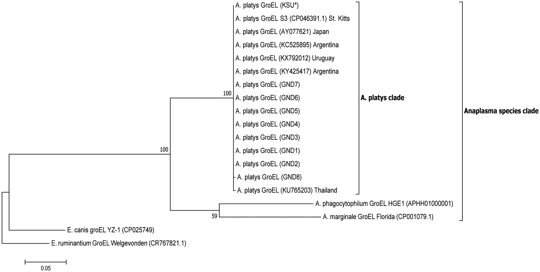 Fig. 4.