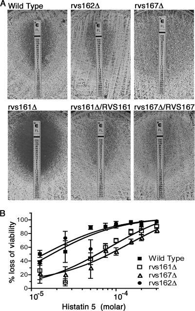 FIG. 6.