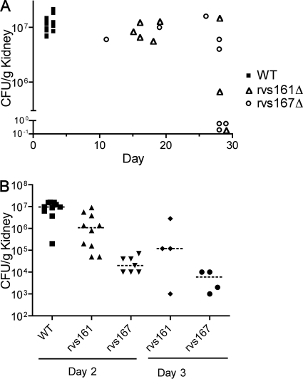 FIG. 8.