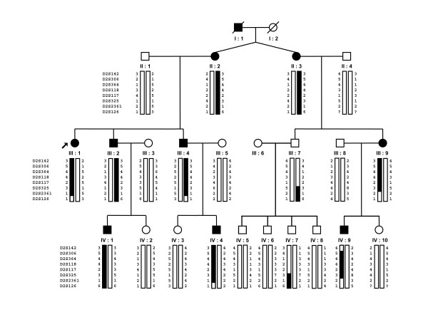 A novel locus (CORD12) for autosomal dominant cone-rod dystrophy on ...