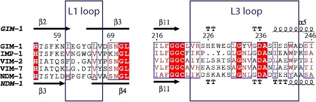 FIG 1