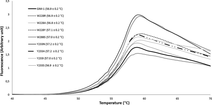 FIG 7