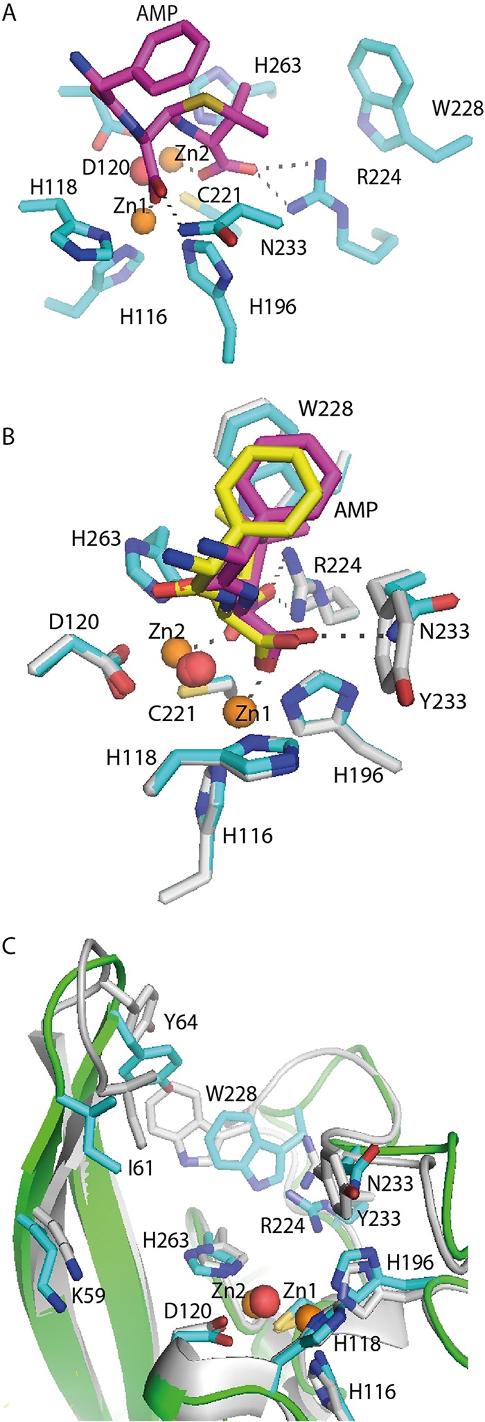 FIG 6