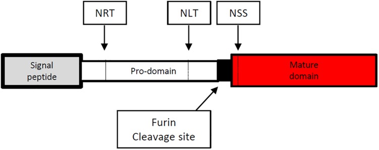 FIGURE 3