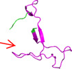 graphic file with name JMV-93-499-g006.jpg