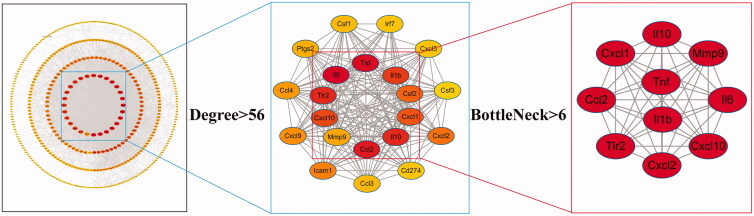 Figure 4.