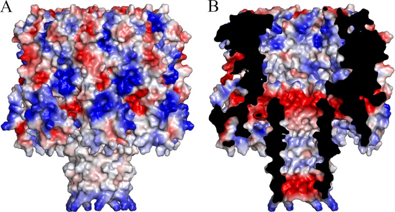 FIGURE 4.