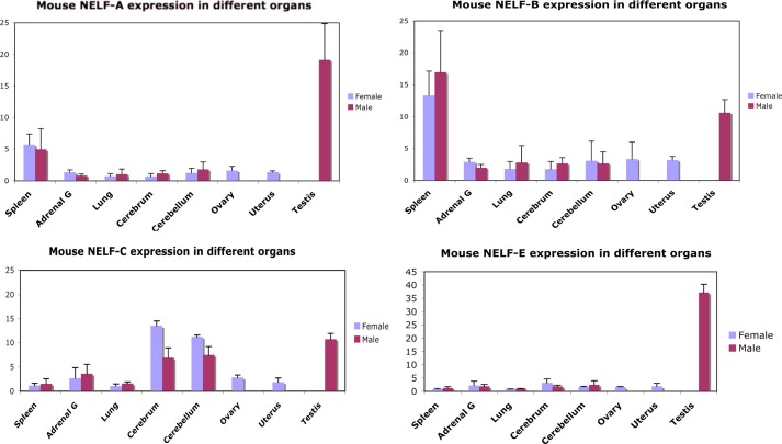 FIGURE 4.