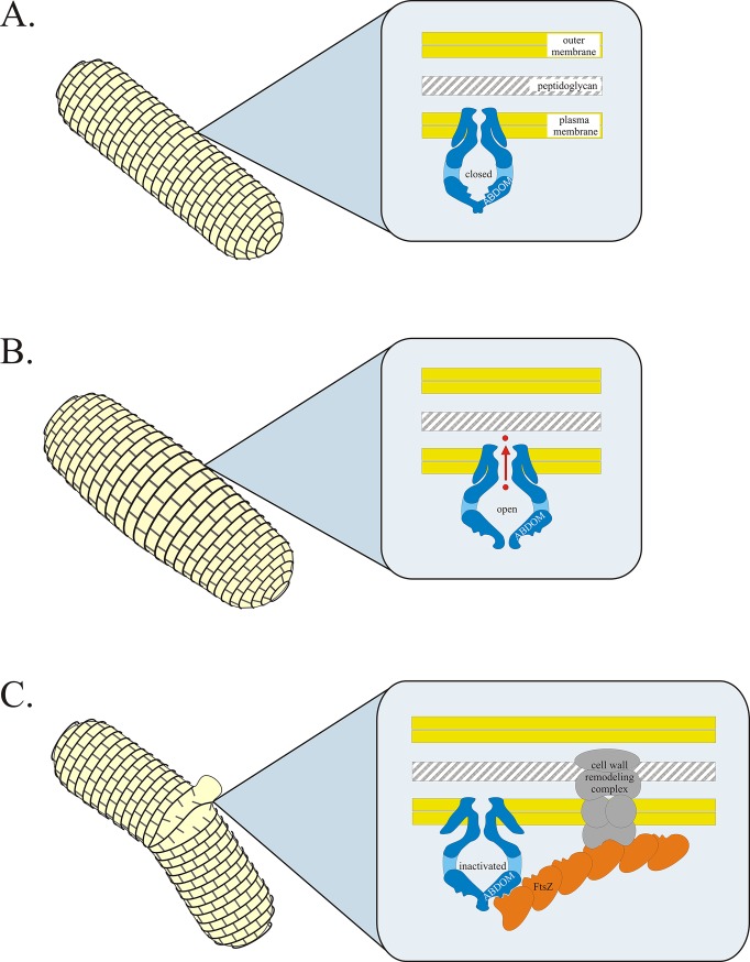 Fig 5