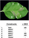 Figure 9.