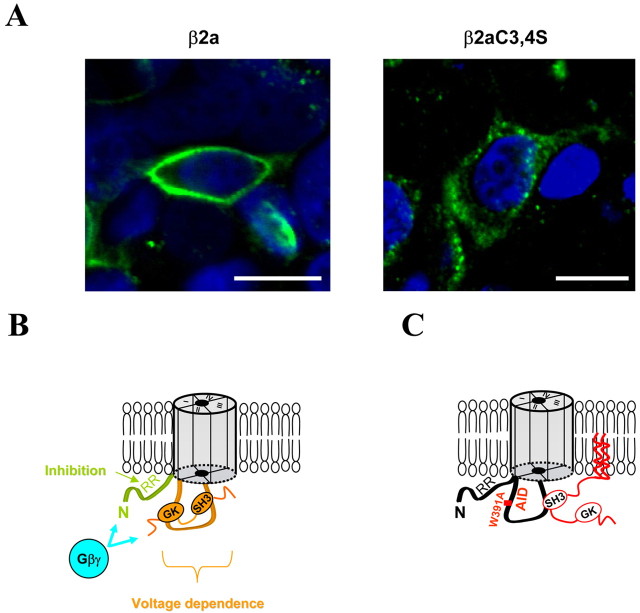 
Figure 10.
