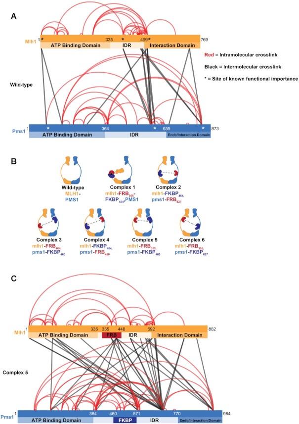 Figure 2.