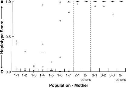 Figure 3.—