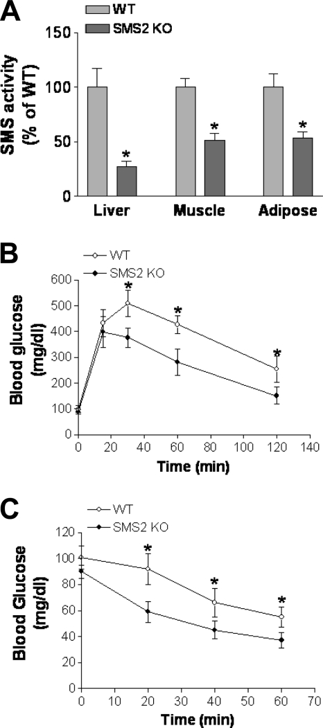 Fig. 8.