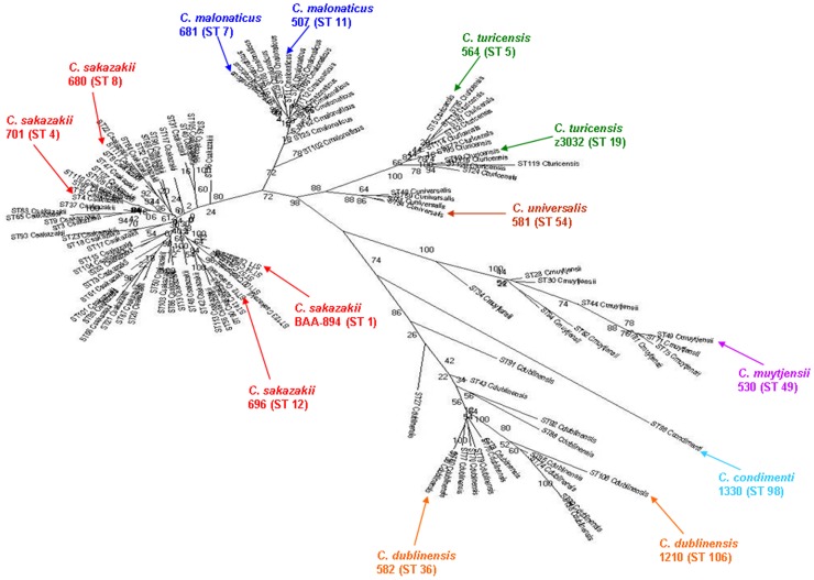 Figure 2