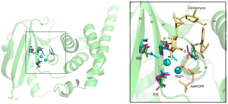 Figure 5