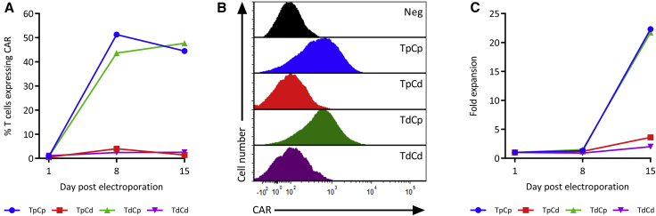 Figure 3