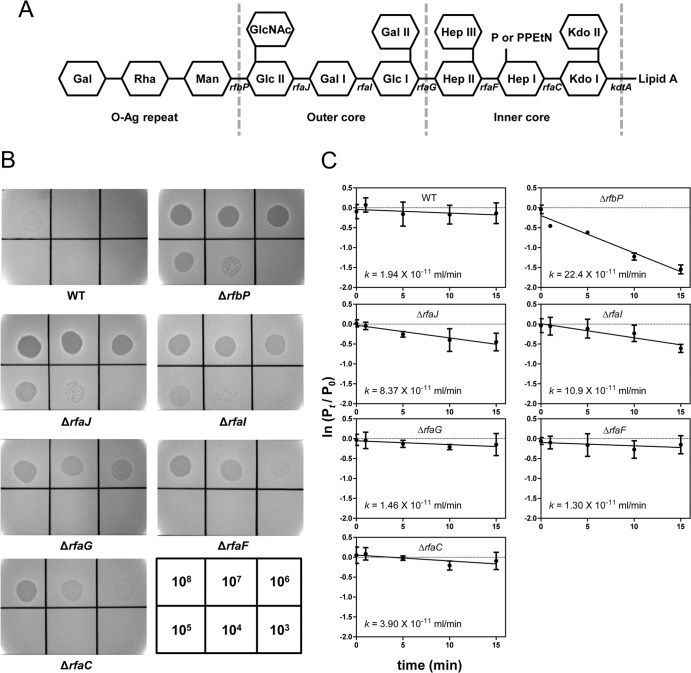 FIG 3