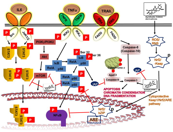 Fig. 2