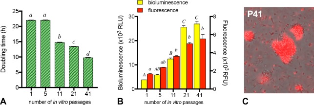 Fig 4