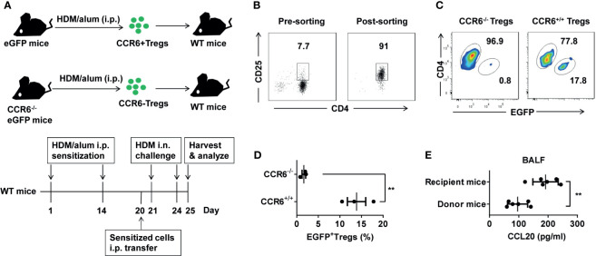 Figure 6