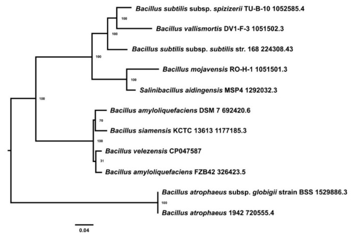 Figure 3