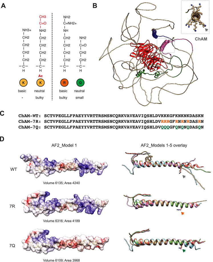 Figure 2—figure supplement 2.