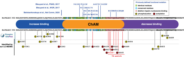 Figure 9—figure supplement 1.