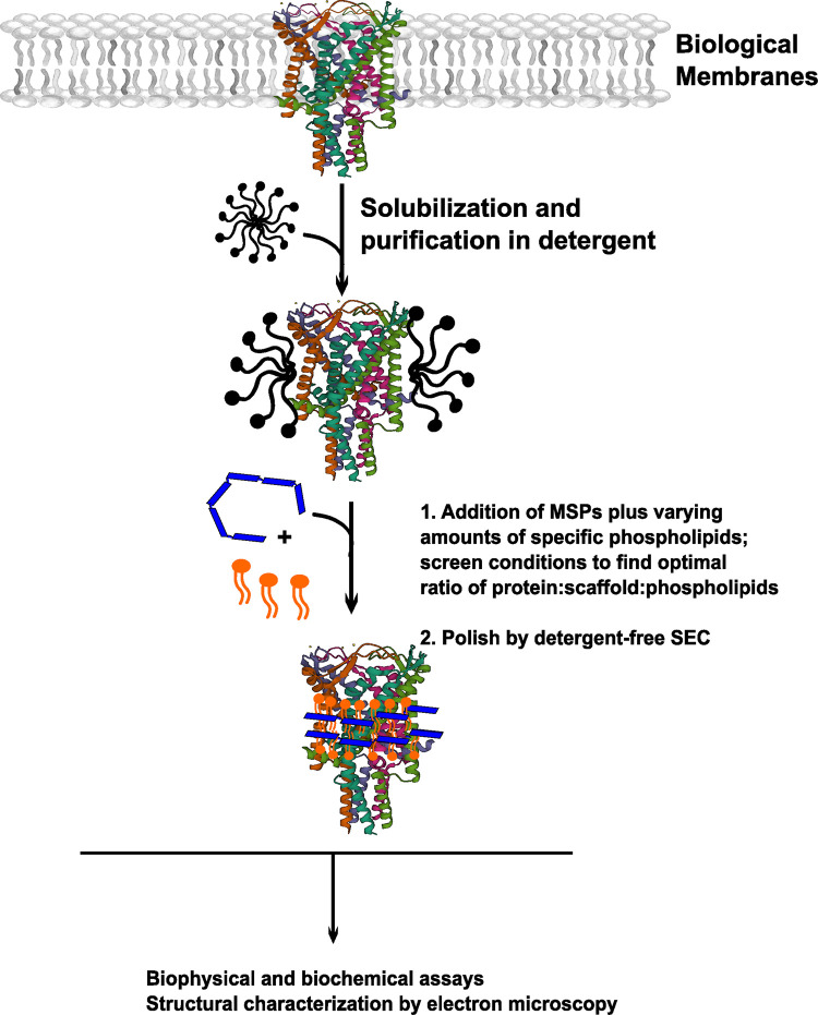 Figure 1.