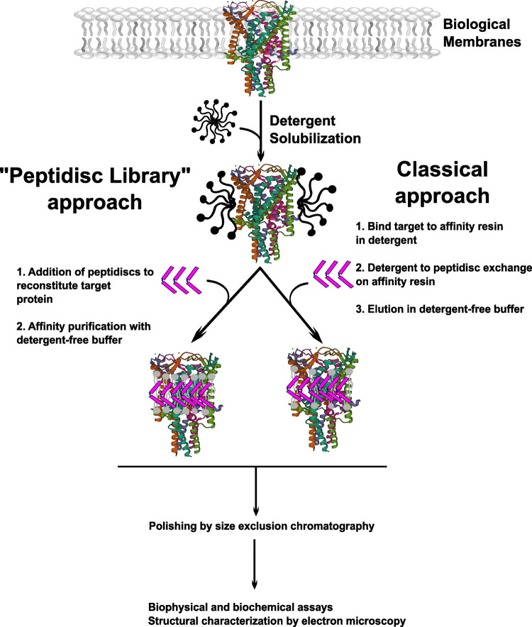 Figure 3.