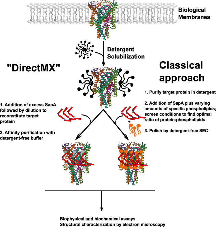 Figure 2.