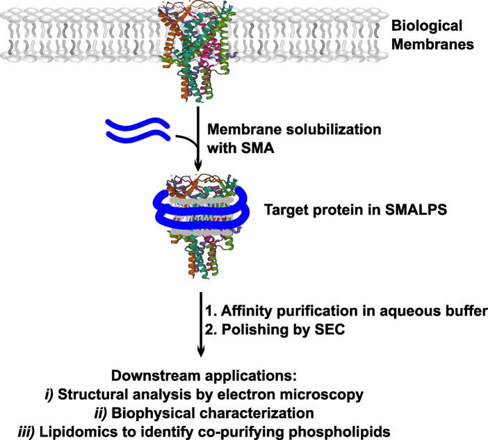 Figure 4.