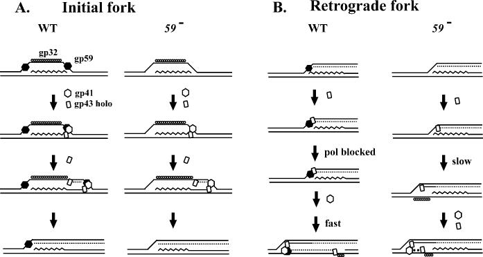 Fig. 9