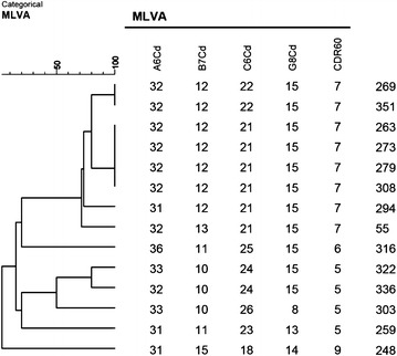 Fig. 1