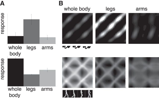 Figure 11.