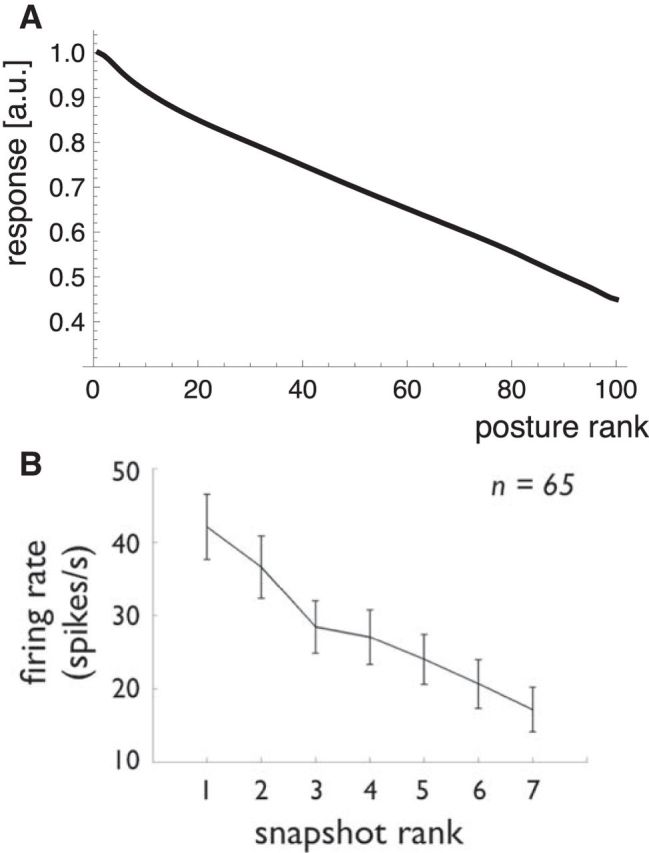 Figure 10.