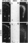 Fig. 9.